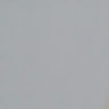 Profile image of ゆあん