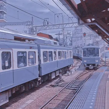Profile image of 노미