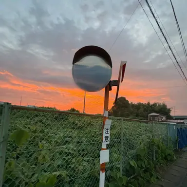 Profile image of クロロ