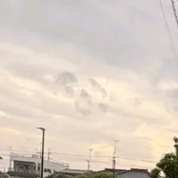 Profile image of シャルナーク