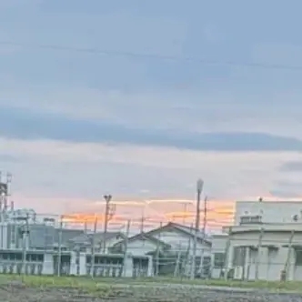 Profile image of ゴン