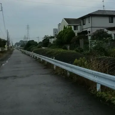 Profile image of リオラ