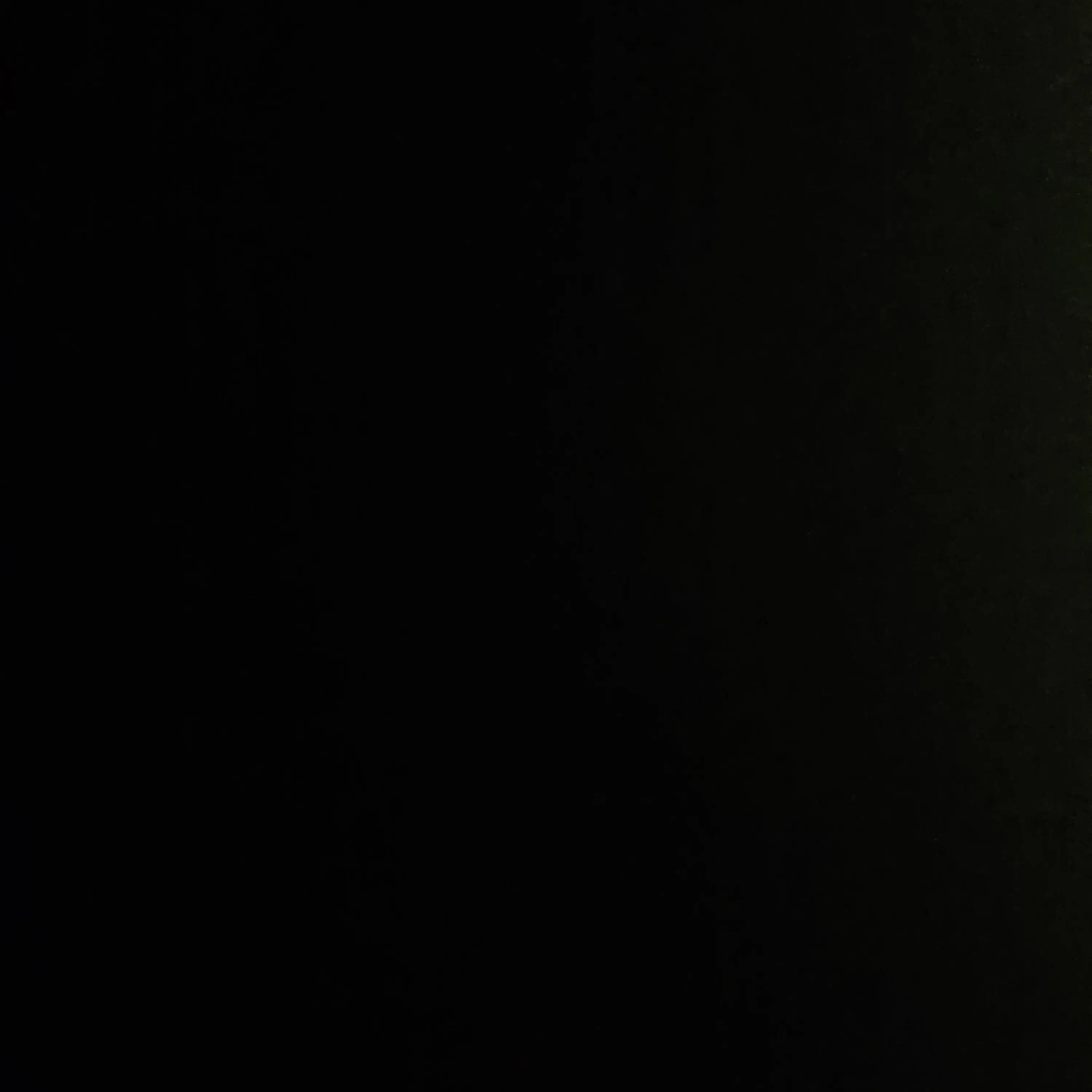 PurelyTail17316의 빼빼로 데이.