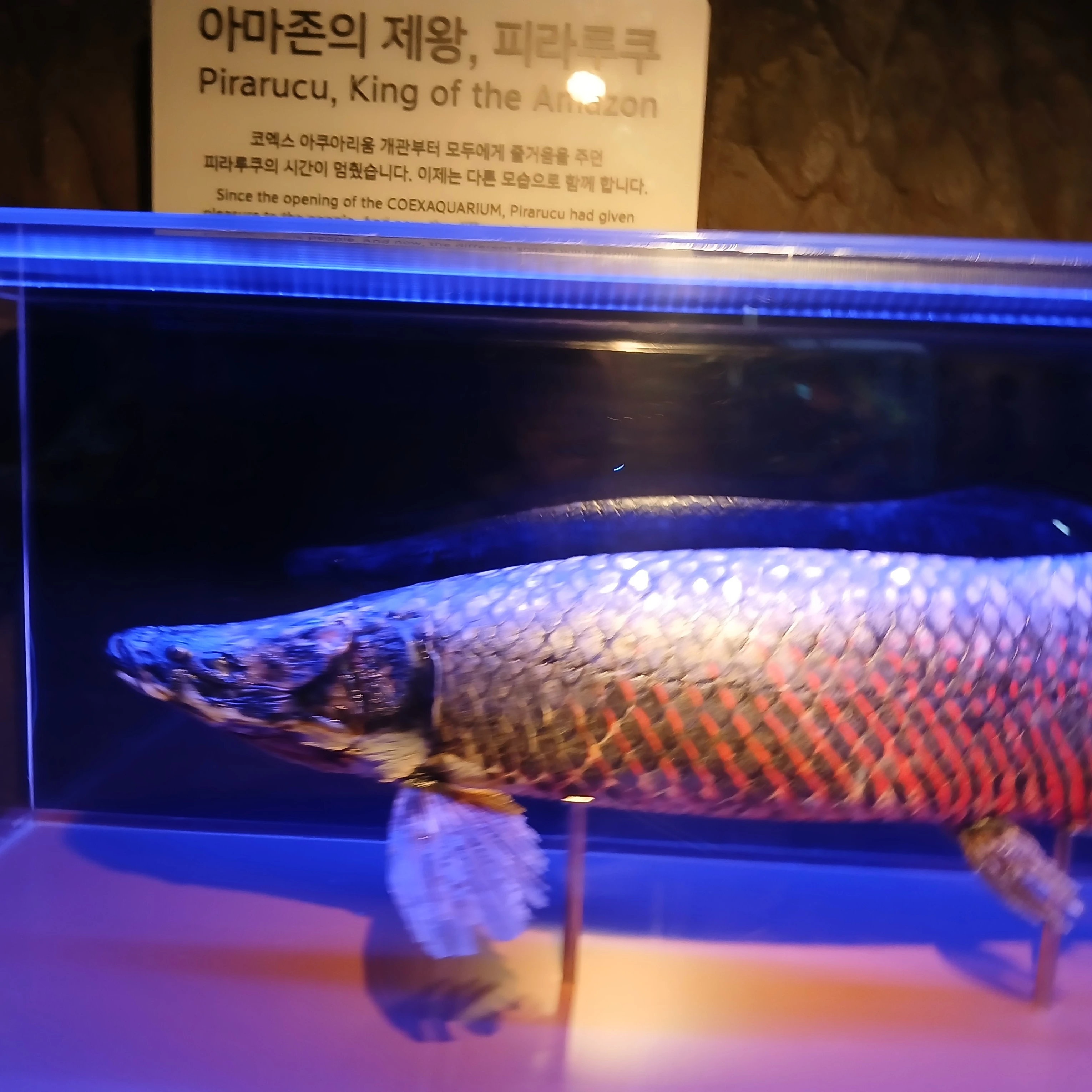엠디원