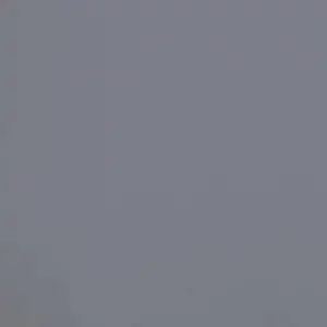 SwiftMoth0968의 顔見知りの隣人