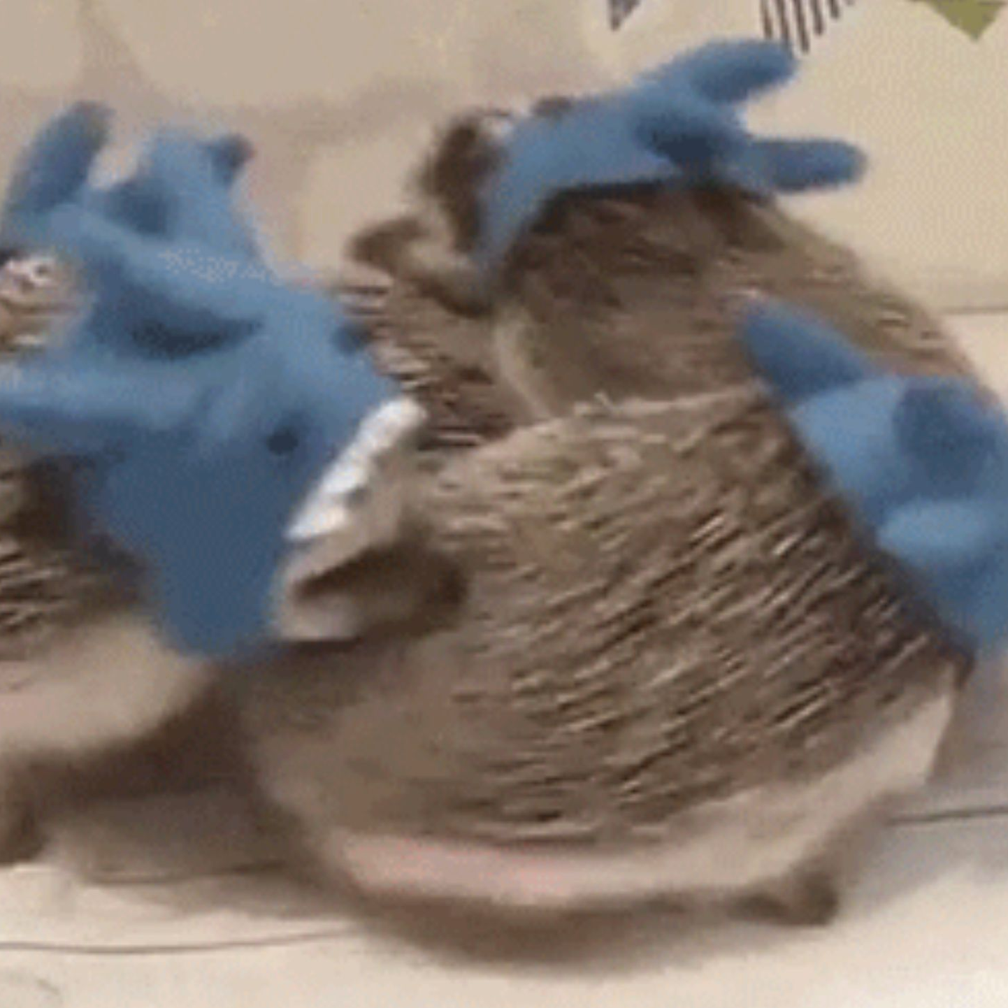 끝말잇기🦔 대표 이미지
