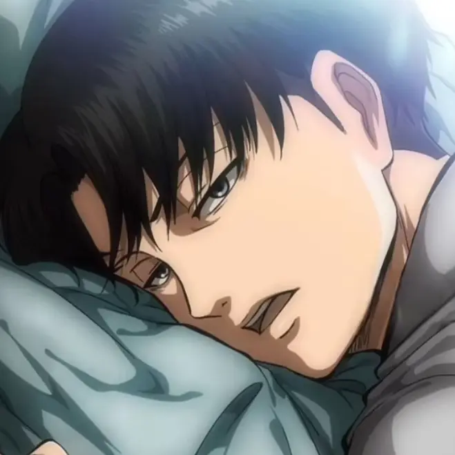 Levi_Ackermann의 리바이 아커만