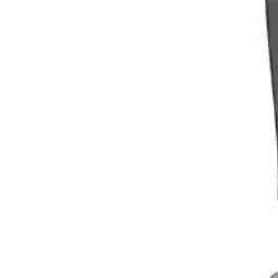 Profile image of 임종언