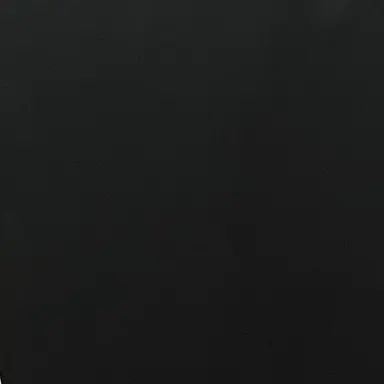 Profile image of 監察官