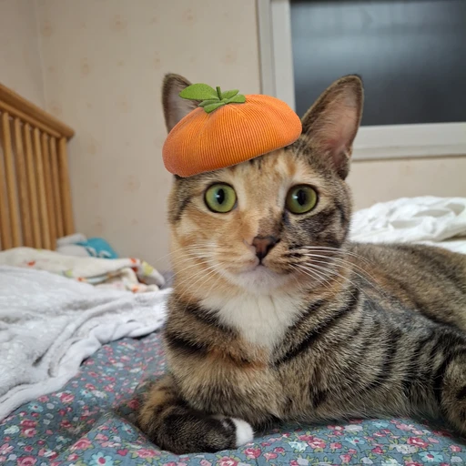 말쑨