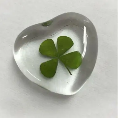 Profile image of 비럭키