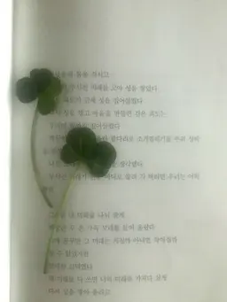 Profile image of 비럭키