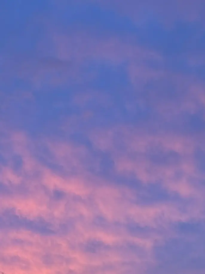 na1adec0c0의 QuizKnock
