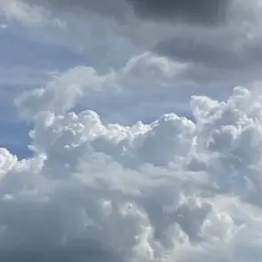 Profile image of 緋八マナ