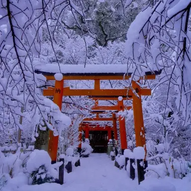 Profile image of 각별