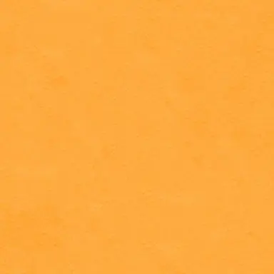 Profile image of 大西流星