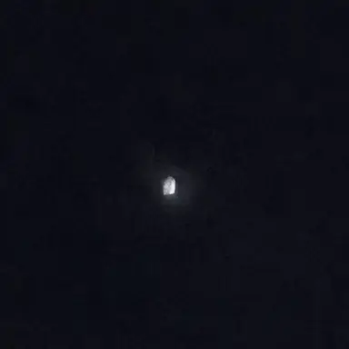 Profile image of 늑대
