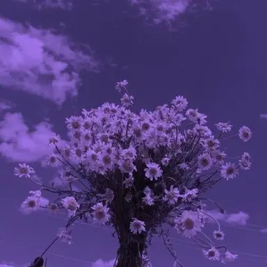 Profile image of 평학
