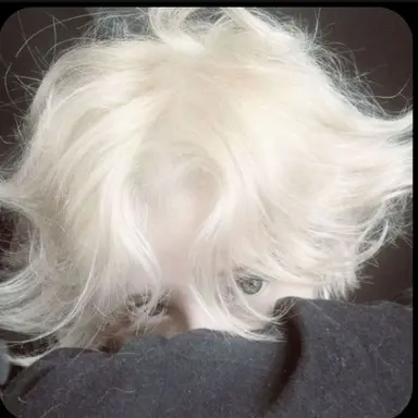 Profile image of Jackson
