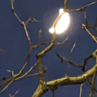 Profile image of 노아