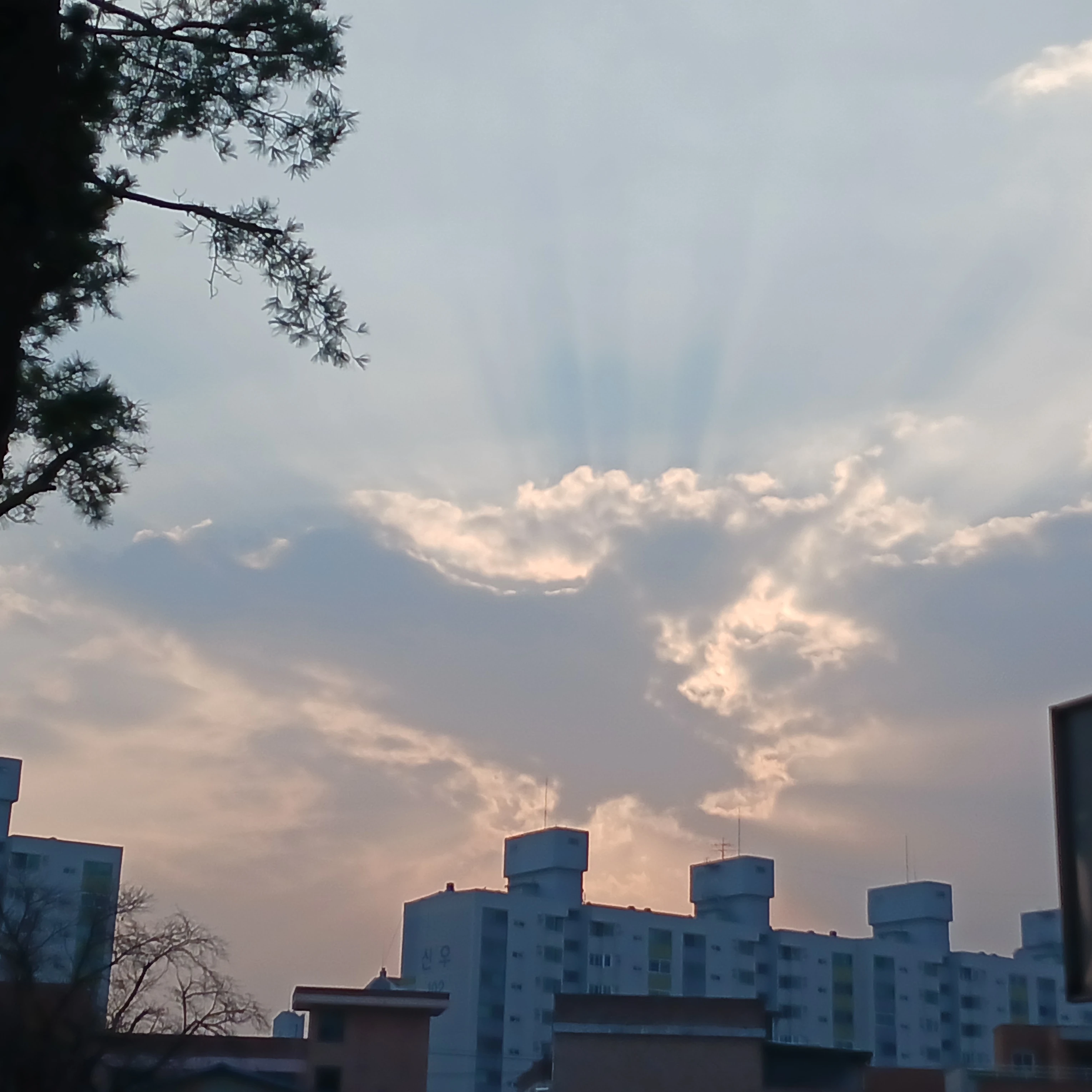 우즈키