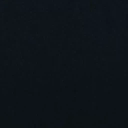 정한