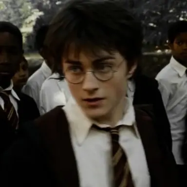 Profile image of Harry Potter