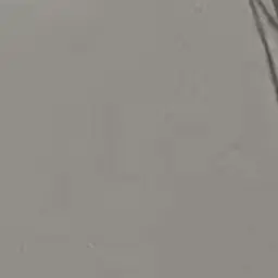 Profile image of 김독자