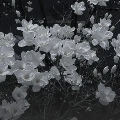 Profile image of 늦잠