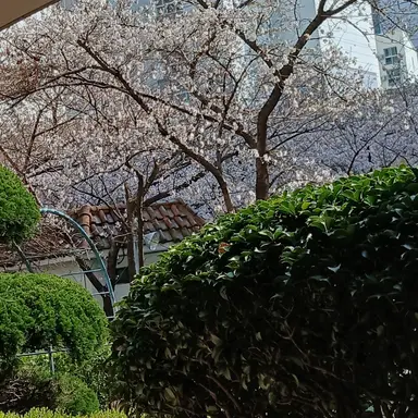 Profile image of 정공룡