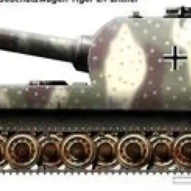 Profile image of 베어