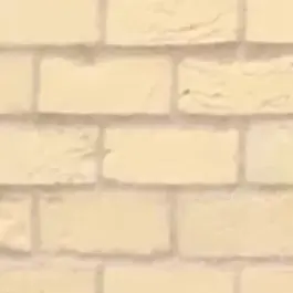 Kiyo_neko0226의 Top4(ブリ子有)