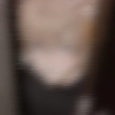 Profile image of 風楽奏斗