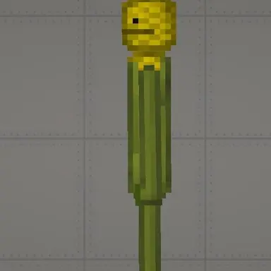 Profile image of 콘