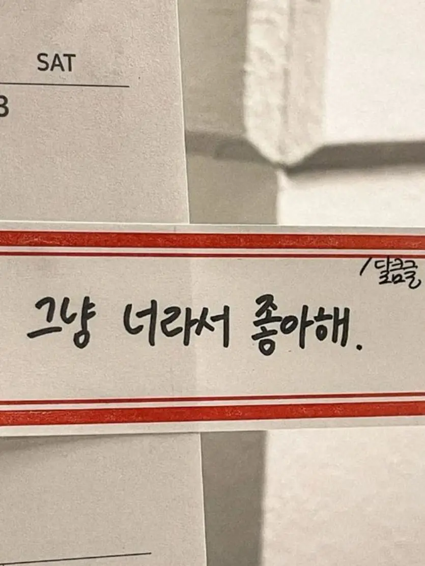 weasel2의 제 머리는 카드 리더기가 아닙니다만