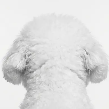 Profile image of 박현우