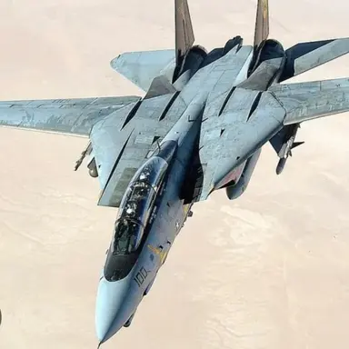Profile image of F-14 톰캣