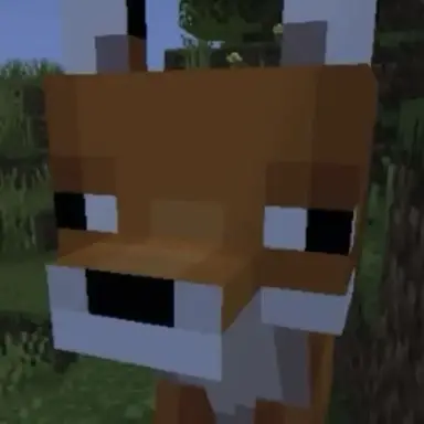 Profile image of 여우