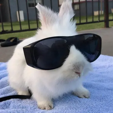 Profile image of 윤뎡한