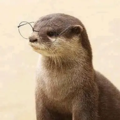 Profile image of 이찭