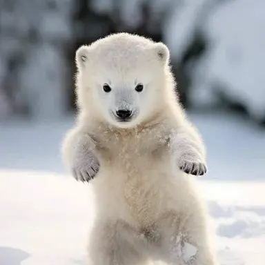 Profile image of 최핝솔