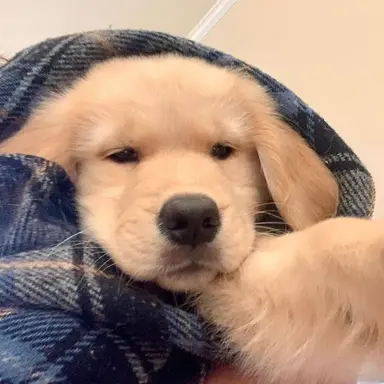 Profile image of 이섟민