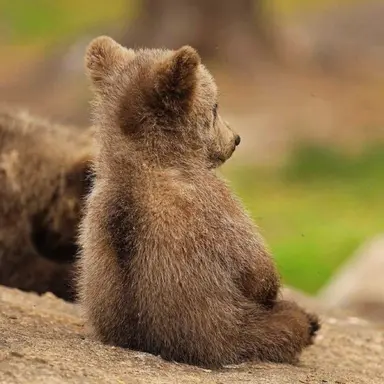 Profile image of 부슩관