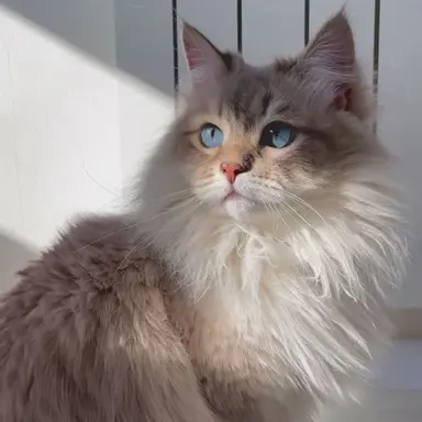 Profile image of 문줁휘