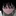 그레이트