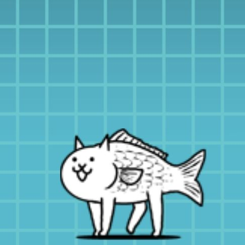 고양이 피쉬 대표 이미지