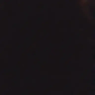 Profile image of Whorblox