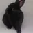 ㅅㅇ