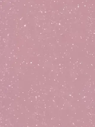 JollyHoop2533의 いじめ