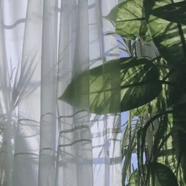 Profile image of 공룡